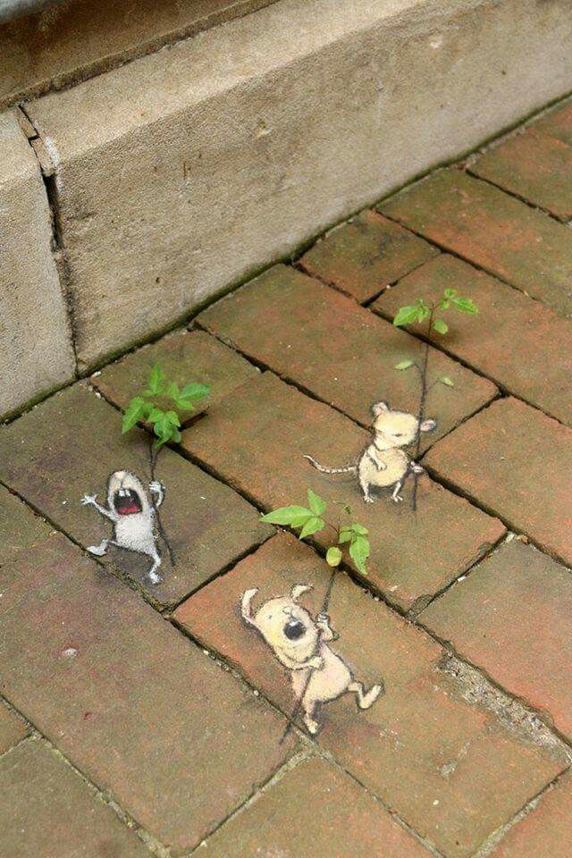 davidzinn_oetang27